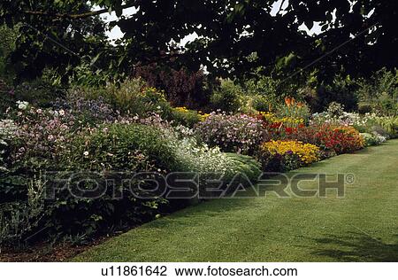 Lawn and herbaceous border in large country garden in summer View Large Photo Image Stock Image - Lawn and herbaceous border in large country garden in summer. Fotosearch