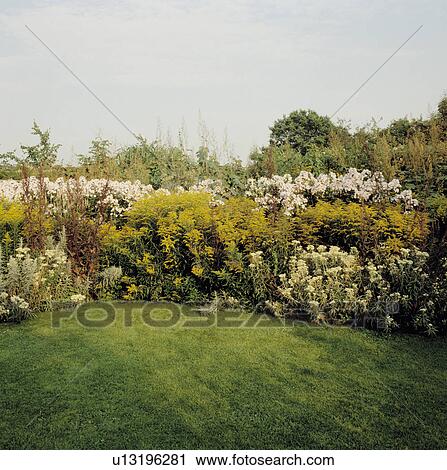 Lawn in summer country garden View Large Photo Image Stock Image - Lawn in summer country garden. Fotosearch