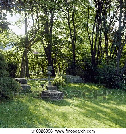Stock Photograph - Lawn in summer country garden. Fotosearch