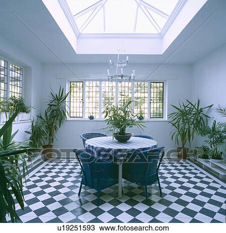 Lloyd loom chairs in dining room extension with skylight and painted black and white chequerboard floor View Large Photo Image Stock Image - Lloyd loom chairs in dining room extension with skylight and painted black and white chequerboard floor . Fotosearch