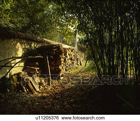 Logs stored against wall in country garden View Large Photo Image Stock Photograph - Logs stored against wall in country garden. Fotosearch