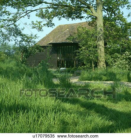 Long grass and tree in garden in front of traditional barn conversion View Large Photo Image Stock Photography - Long grass and tree in garden in front of traditional barn conversion. Fotosearch