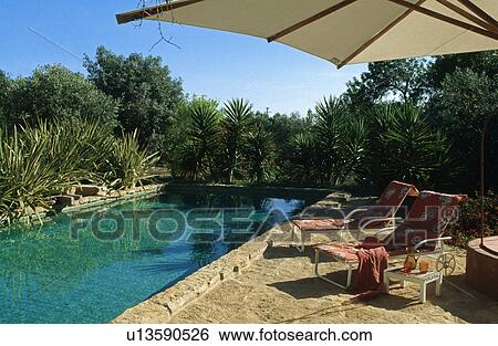 Loungers on paved patio beside swimming pool View Large Photo Image Stock Photograph - Loungers on paved patio beside swimming pool. Fotosearch
