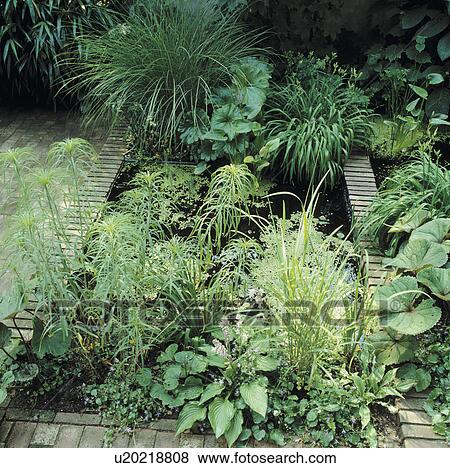 Lush green plants and pond in town garden View Large Photo Image Stock Photo - Lush green plants and pond in town garden. Fotosearch
