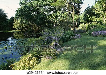 Lush plants around pond in country garden in summer View Large Photo Image Picture - Lush plants around pond in country garden in summer. Fotosearch