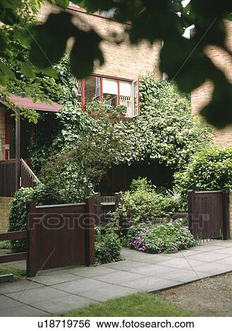 Stock Photograph - Lushly planted front garden in front of small modern townhouse with climbing ivy. Fotosearch