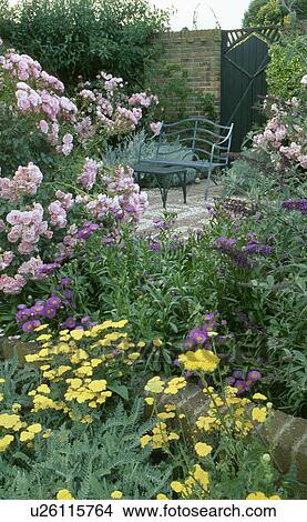 Metal bench on patio in garden with pink roses and yellow achillea View Large Photo Image Picture - Metal bench on patio in garden with pink roses and yellow achillea. Fotosearch