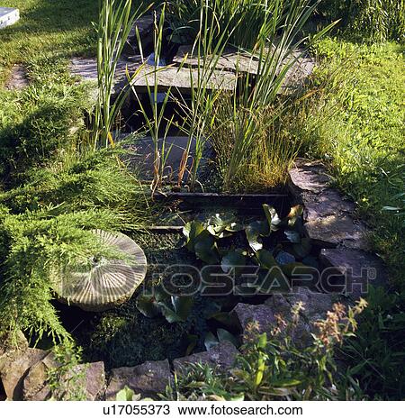 Stock Image - Millstone and small pond in country garden. Fotosearch