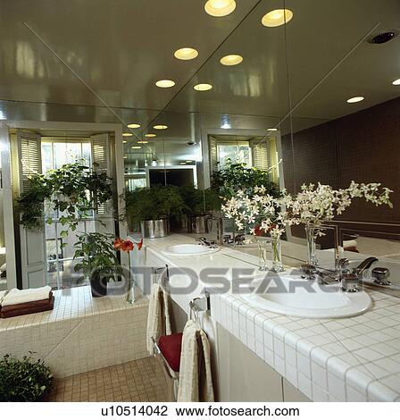 Stock Image - mirror, interior, basin, houseplant, fixed, interiors. Fotosearch
