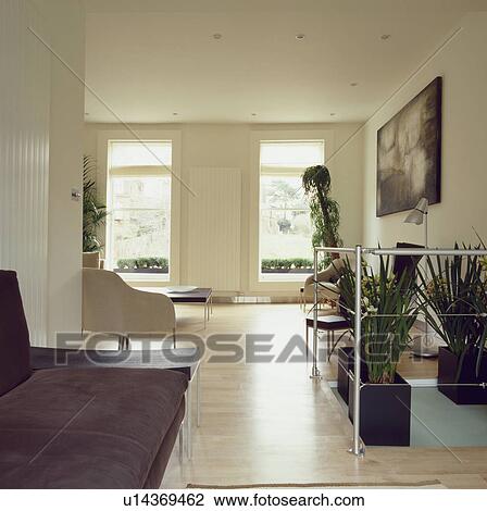 Modern livingroom with houseplants and maple wood flooring View Large Photo Image Stock Image - Modern livingroom with houseplants and maple wood flooring . Fotosearch