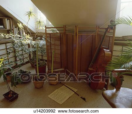 Stock Image - music, interior, cello, houseplant, screen, interiors. Fotosearch