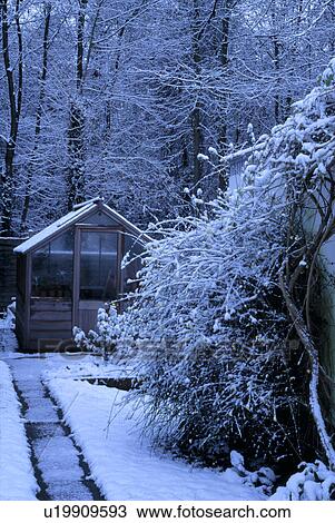 Stock Image - Narrow path to a greenhouse at the edge of woodland under snow. Fotosearch