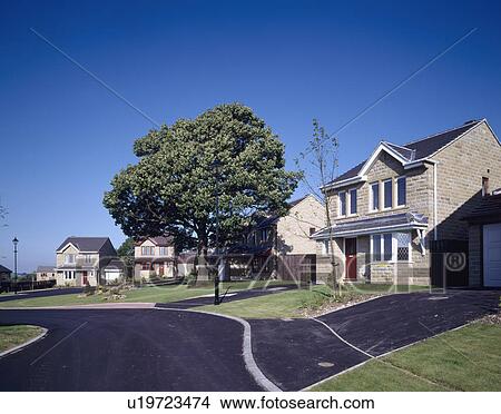 Newbuild traditional stone house with large tree on front lawn on small village housing estate View Large Photo Image Picture - Newbuild traditional stone house with large tree on front lawn on small village housing estate . Fotosearch