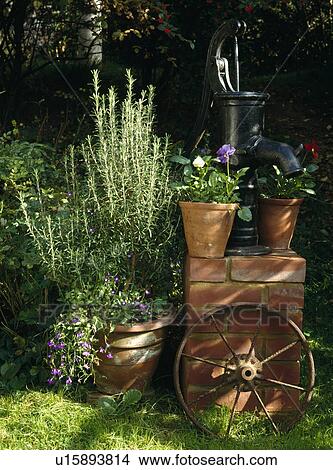Old reclaimed water pump on brick plinth with herb rosemary and purple violas in terracotta pumps View Large Photo Image Picture - Old reclaimed water pump on brick plinth with herb rosemary and purple violas in terracotta pumps. Fotosearch