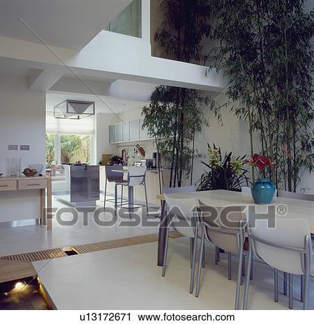 Openplan modern kitchen and diningroom with Philippe Starck 'Cheap Chic' chairs and concrete flooring View Large Photo Image Stock Image - Openplan modern kitchen and diningroom with Philippe Starck 'Cheap Chic' chairs and concrete flooring . Fotosearch