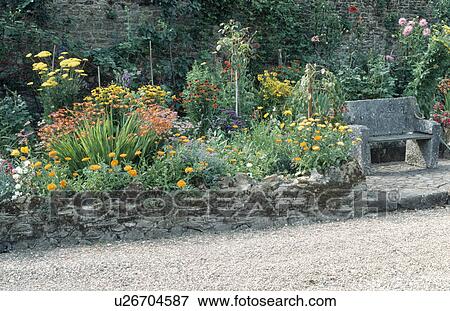 Orange calendula and hemerocallis with rudbeckia and astilbe in raised garden border beside stone seat View Large Photo Image Stock Photo - Orange calendula and hemerocallis with rudbeckia and astilbe in raised garden border beside stone seat. Fotosearch