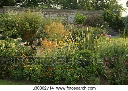 Orange flowering plants in herbaceous border in large country garden in summer View Large Photo Image Picture - Orange flowering plants in herbaceous border in large country garden in summer. Fotosearch