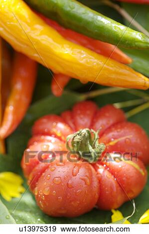 Stock Photo - orange, outside, still-life, fruit, yellow, food. Fotosearch