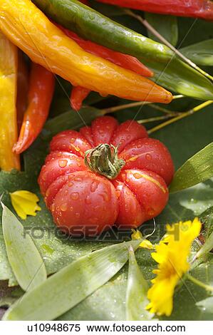 orange, outside, still-life, fruit, yellow, food View Large Photo Image Stock Photography - orange, outside, still-life, fruit, yellow, food. Fotosearch