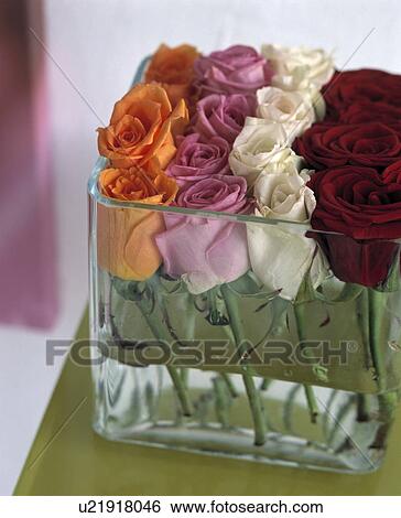 Stock Photograph - Orange, pink, white and red roses in square glass vase&#13; &#10; &#13; &#10; &#13; &#10; &#13; &#10; &#13; &#10; &#13; &#10;. Fotosearch