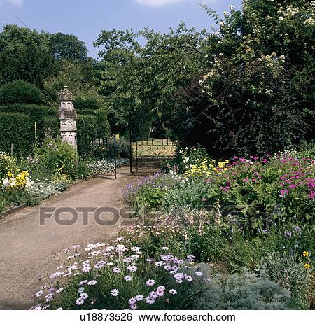 Stock Photograph - Osteospermum in colourful herbaceous border beside path in large country garden with wrought iron gates. Fotosearch