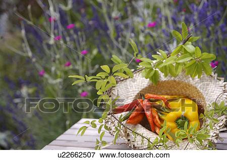 Stock Photo - outside, still-life, fruit, yellow, food, pepper. Fotosearch