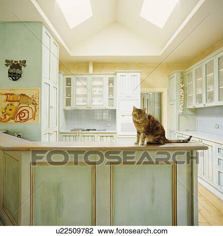 Pale green with gilt trim kitchen units in modern extension painted yellow with skylights. View Large Photo Image Stock Image - Pale green with gilt trim kitchen units in modern extension painted yellow with skylights.. Fotosearch