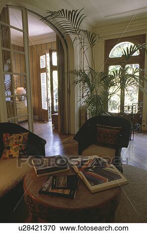 Palm plant in traditional town living room View Large Photo Image Stock Image - Palm plant in traditional town living room. Fotosearch