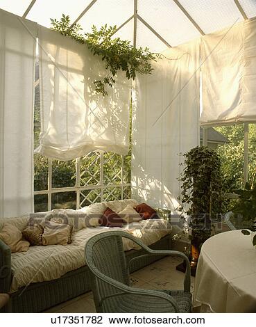 Pastel green wicker chair and sofa with white cushions in conservatory dining room with houseplants and white blinds View Large Photo Image Stock Image - Pastel green wicker chair and sofa with white cushions in conservatory dining room with houseplants and white blinds. Fotosearch