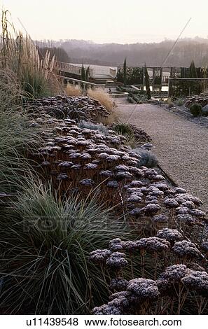 Stock Photo - Path and borders with frosted plants in country garden in winter. Fotosearch
