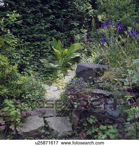 Stock Photo - Path through underplanted border in country garden. Fotosearch