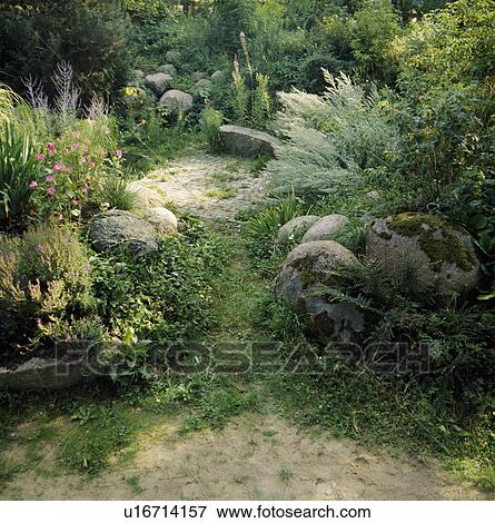 Stock Photo - Path through wild country garden. Fotosearch