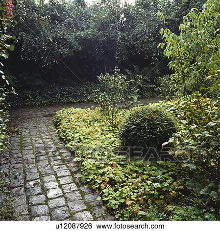 Stock Photograph - Paved path and underplanted borders in country garden in summer. Fotosearch