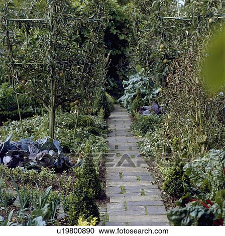 Stock Image - Paved path in country vegetable garden . Fotosearch
