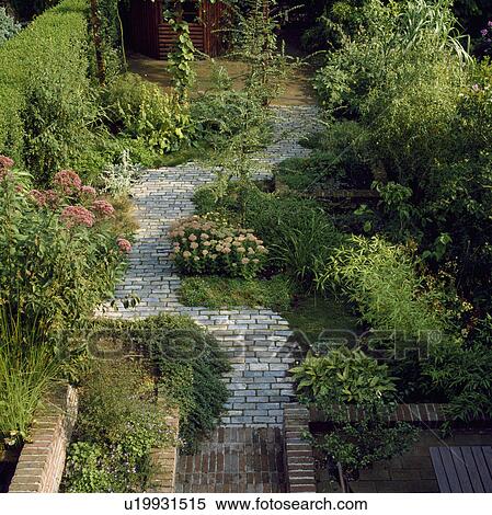 Stock Photography - Paved path in town garden with lush planting in summer. Fotosearch