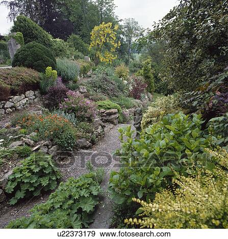 Stock Photo - Paved path through rockery in large country garden in summer. Fotosearch