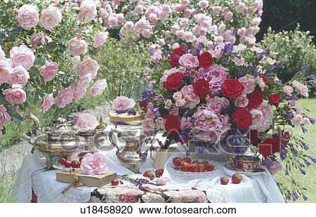Pink and red roses in vase on table with silver tea set View Large Photo Image Stock Image - Pink and red roses in vase on table with silver tea set. Fotosearch