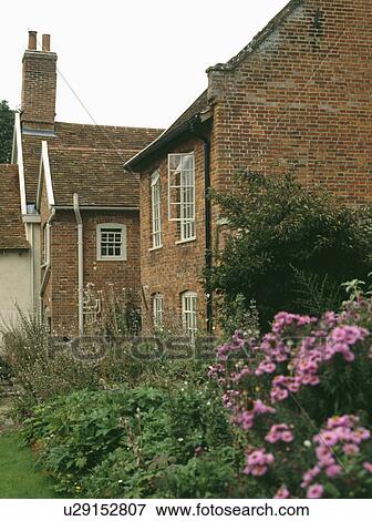 Pink asters in garden border with detached brick country house in the background View Large Photo Image Stock Photo - Pink asters in garden border with detached brick country house in the background. Fotosearch