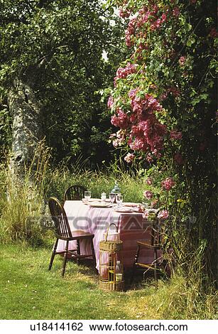 Pink cloth on table in country garden with pink roses in summer View Large Photo Image Stock Image - Pink cloth on table in country garden with pink roses in summer. Fotosearch
