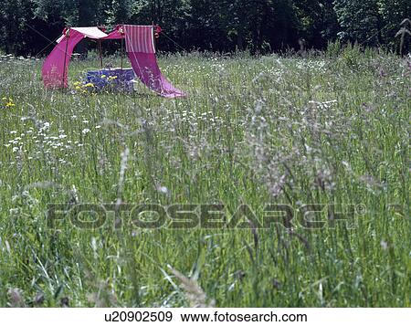 Pink cotton awning in field of long grass in country garden in summer View Large Photo Image Stock Photo - Pink cotton awning in field of long grass in country garden in summer. Fotosearch