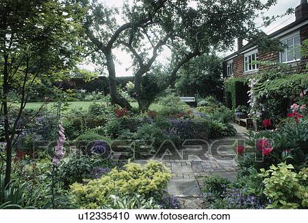 Pink digitalis and red paeonies in borders with small trees beside paved path in summer garden View Large Photo Image Stock Image - Pink digitalis and red paeonies in borders with small trees beside paved path in summer garden. Fotosearch