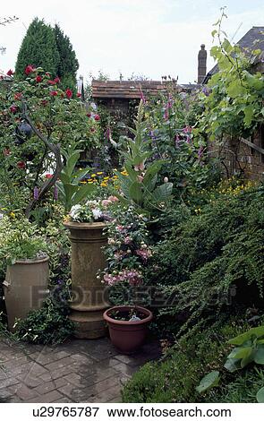 Plants in pots in country garden in summer View Large Photo Image Stock Photo - Plants in pots in country garden in summer. Fotosearch