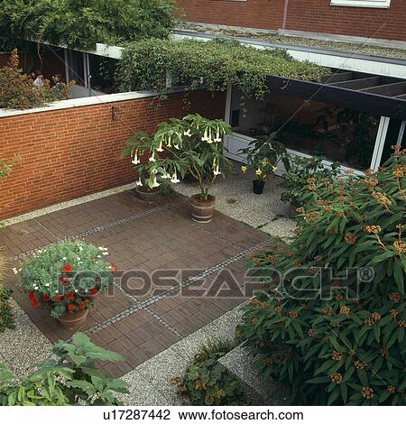 Stock Image - Plants in pots on patio of walled townhouse garden. Fotosearch
