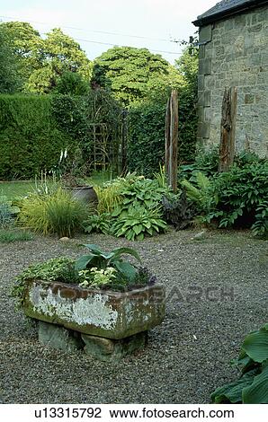 Stock Image - Plants in stone sink on gravel in large country garden. Fotosearch