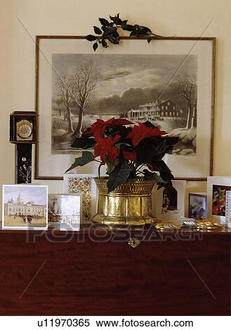 Poinsettia and Christmas cards View Large Photo Image Stock Photography - Poinsettia and Christmas cards. Fotosearch
