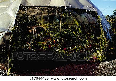 Poly dome at Chelsea Flower Show View Large Photo Image Stock Image - Poly dome at Chelsea Flower Show. Fotosearch