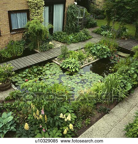 Stock Photography - Pond with decking and water plants in town garden. Fotosearch