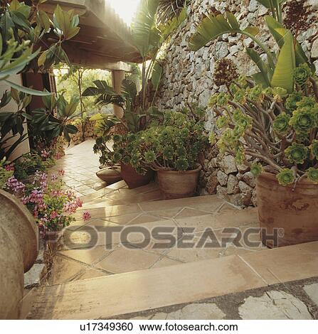 Stock Image - Pots of succulents on steps of Spanish villa. Fotosearch