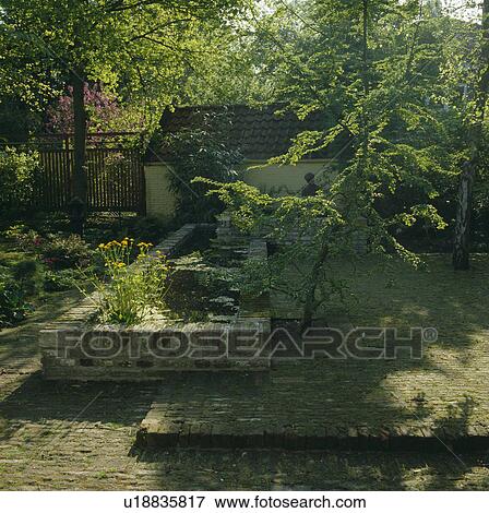 Stock Photo - Raised pond and green plants in summer country garden. Fotosearch