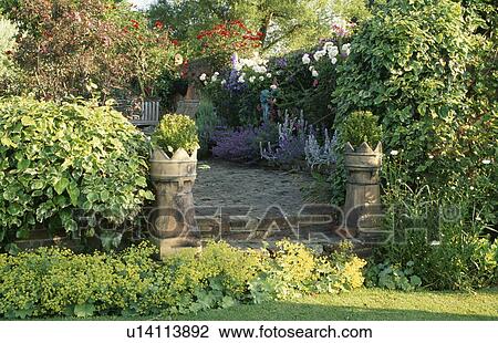 Reclaimed chimney pots and alchemilla mollis by steps in large walled country garden in summer View Large Photo Image Stock Image - Reclaimed chimney pots and alchemilla mollis by steps in large walled country garden in summer. Fotosearch